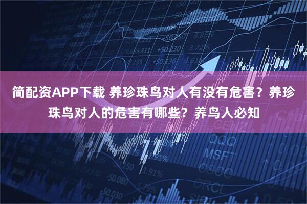 简配资APP下载 养珍珠鸟对人有没有危害？养珍珠鸟对人的危害有哪些？养鸟人必知