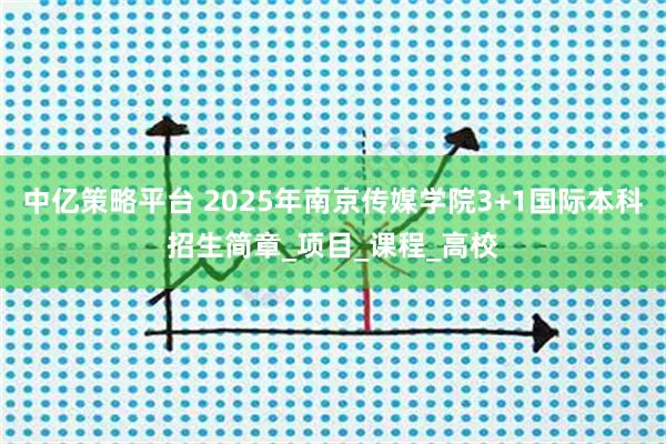 中亿策略平台 2025年南京传媒学院3+1国际本科招生简章_项目_课程_高校
