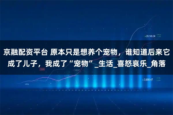 京融配资平台 原本只是想养个宠物，谁知道后来它成了儿子，我成了“宠物”_生活_喜怒哀乐_角落