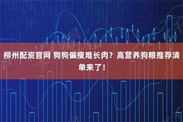 柳州配资官网 狗狗偏瘦难长肉？高营养狗粮推荐清单来了！