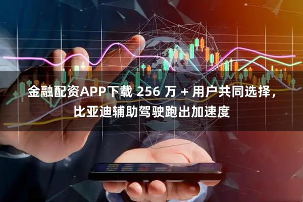 金融配资APP下载 256 万 + 用户共同选择，比亚迪辅助驾驶跑出加速度