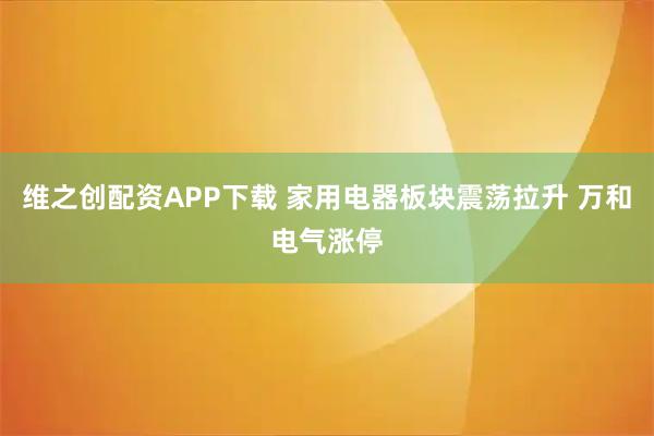 维之创配资APP下载 家用电器板块震荡拉升 万和电气涨停