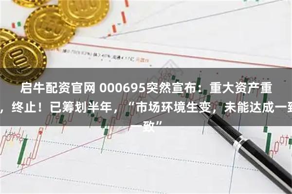 启牛配资官网 000695突然宣布：重大资产重组，终止！已筹划半年，“市场环境生变，未能达成一致”